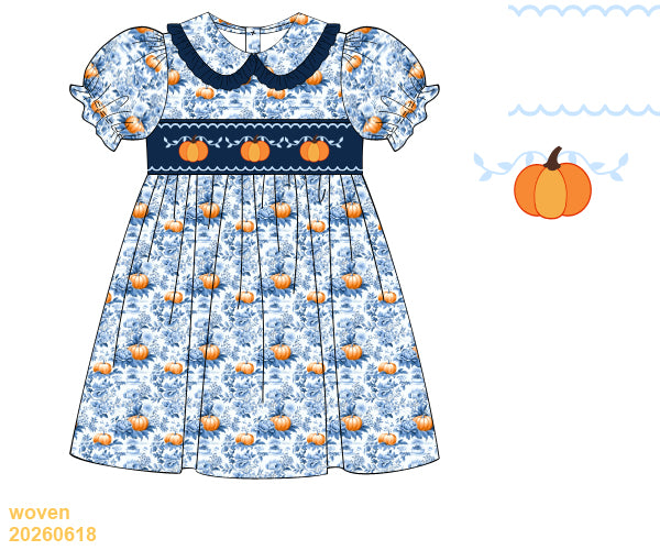 Navy Fall Collection Girl Dress